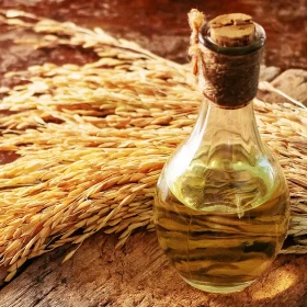 termesztes-e-vitamin-hatoanyag Búzacsíraolaj üvegben, friss búzacsírával körülvéve. Természetes antioxidáns és E-vitamin forrás a bőr és sejtek egészségének támogatására.