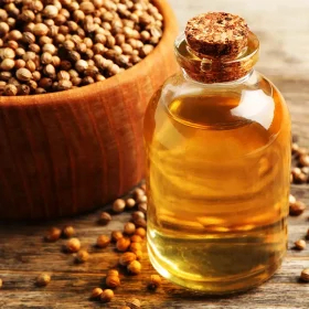 termesztes-lecitin-hatoanyag Üvegben tárolt természetes lecitin olaj, mellette friss koriandermagok egy rusztikus fa felületen. A lecitin fontos szerepet játszik a sejtek védelmében és az agyműködés támogatásában.