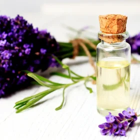 termesztes-levendula-es-levendulaolaj Természetes levendulaolaj kis üvegben, friss levendulacsokorral fehér háttéren. Nyugtató és bőrápoló hatású növényi kivonat.